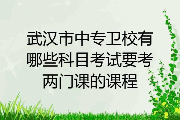 武汉市中专卫校有哪些科目考试要考两门课的课程
