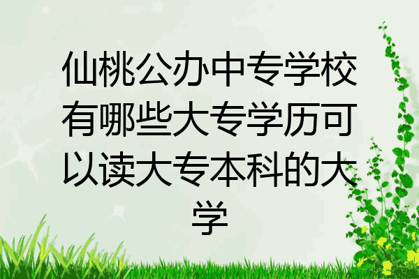 仙桃公办中专学校有哪些大专学历可以读大专本科的大学