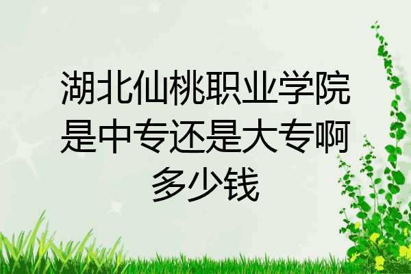 湖北仙桃职业学院是中专还是大专啊多少钱