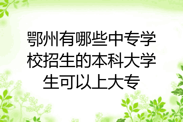 鄂州有哪些中专学校招生的本科大学生可以上大专