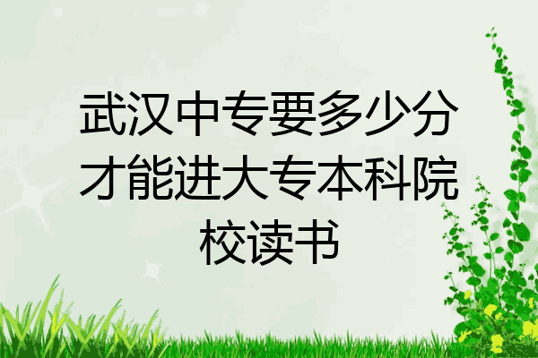 武汉中专要多少分才能进大专本科院校读书