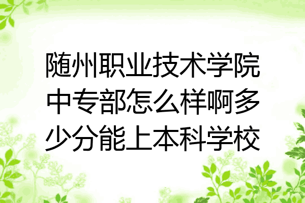 随州职业技术学院中专部怎么样啊多少分能上本科学校