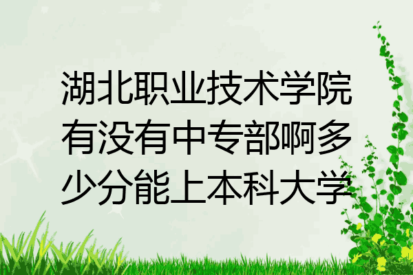湖北职业技术学院有没有中专部啊多少分能上本科大学