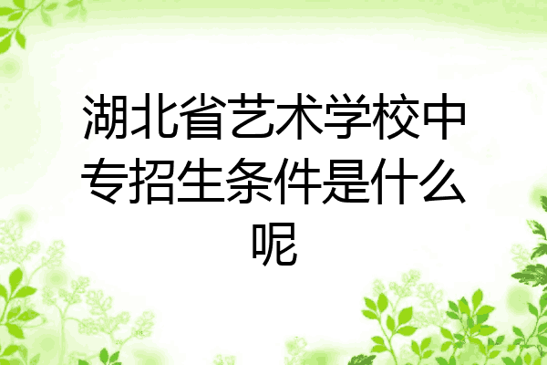 湖北省艺术学校中专招生条件是什么呢