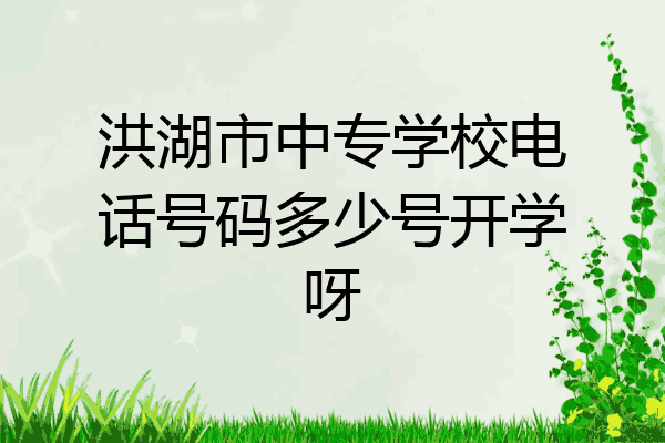 洪湖市中专学校电话号码多少号开学呀