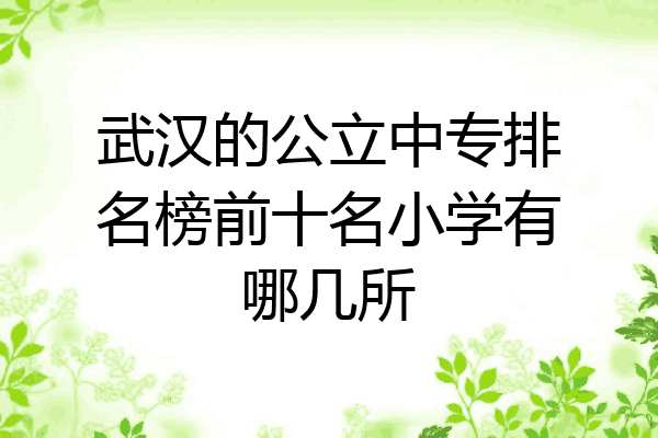 武汉的公立中专排名榜前十名小学有哪几所
