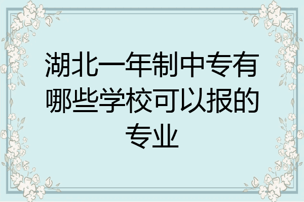 湖北一年制中专有哪些学校可以报的专业