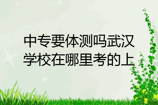 中专要体测吗武汉学校在哪里考的上