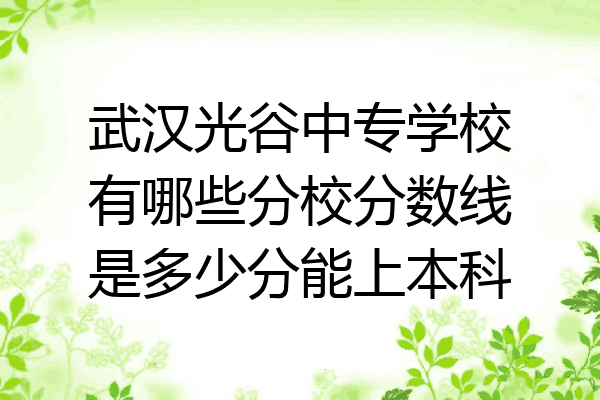 武汉光谷中专学校有哪些分校分数线是多少分能上本科