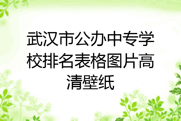 武汉市公办中专学校排名表格图片高清壁纸