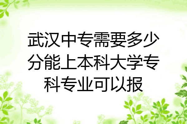 武汉中专需要多少分能上本科大学专科专业可以报