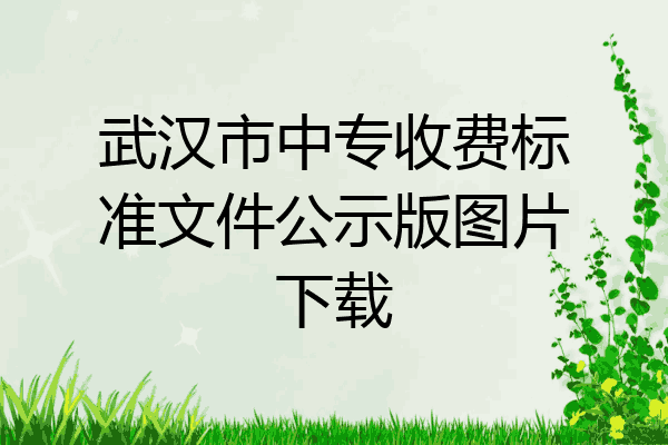 武汉市中专收费标准文件公示版图片下载