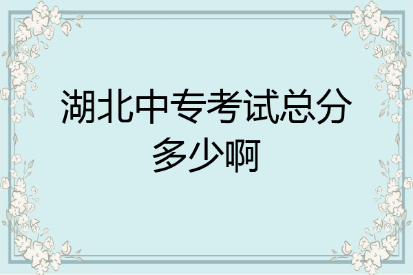 湖北中专考试总分多少啊