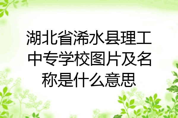 湖北省浠水县理工中专学校图片及名称是什么意思