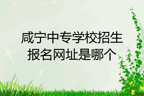咸宁中专学校招生报名网址是哪个