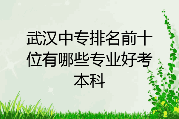 武汉中专排名前十位有哪些专业好考本科
