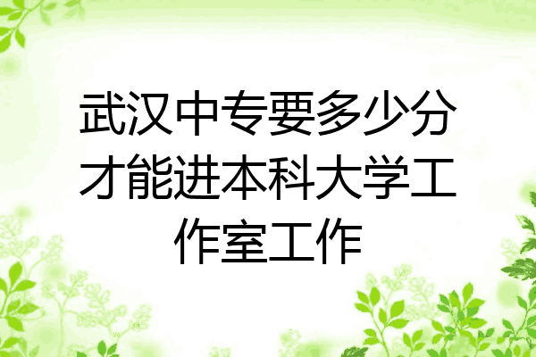 武汉中专要多少分才能进本科大学工作室工作