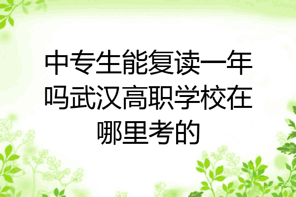 中专生能复读一年吗武汉高职学校在哪里考的