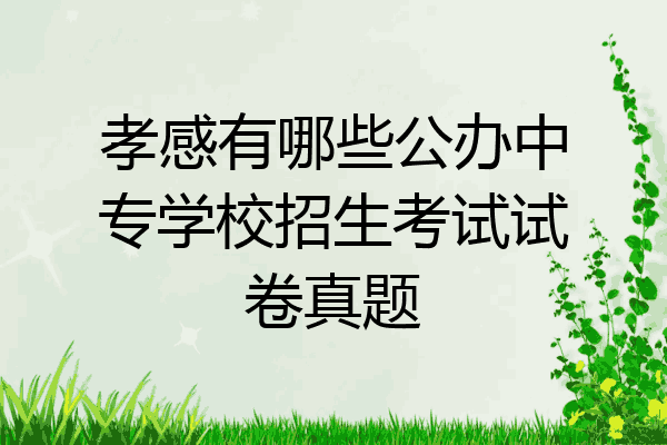 孝感有哪些公办中专学校招生考试试卷真题