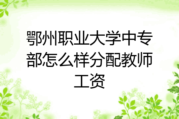 鄂州职业大学中专部怎么样分配教师工资