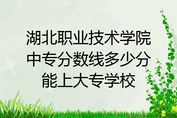 湖北职业技术学院中专分数线多少分能上大专学校