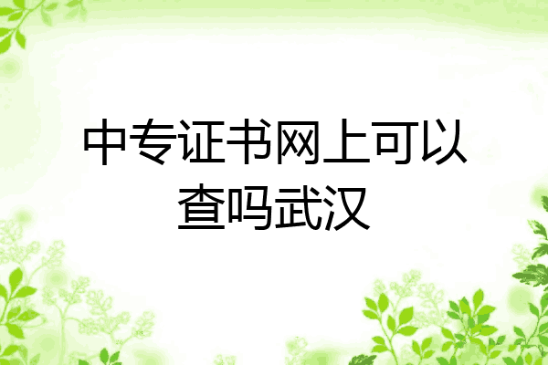 中专证书网上可以查吗武汉