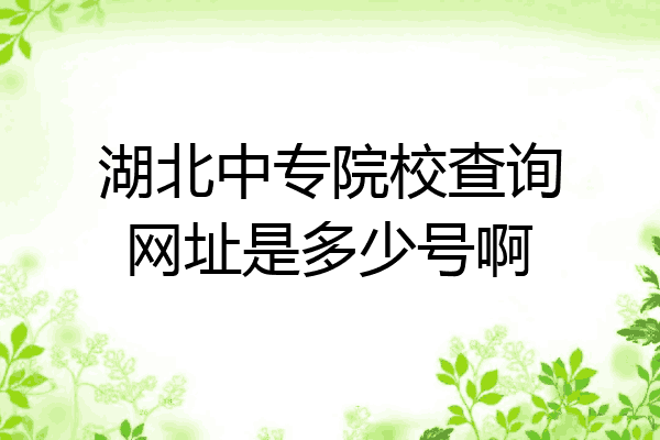 湖北中专院校查询网址是多少号啊
