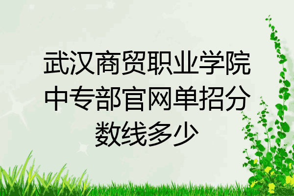 武汉商贸职业学院中专部官网单招分数线多少
