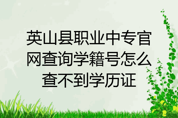 英山县职业中专官网查询学籍号怎么查不到学历证