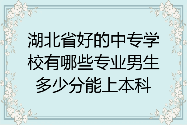 湖北省好的中专学校有哪些专业男生多少分能上本科