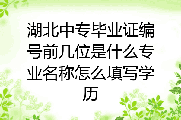 湖北中专毕业证编号前几位是什么专业名称怎么填写学历