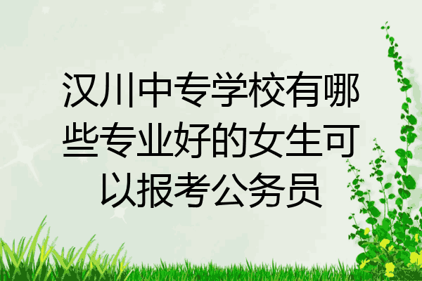 汉川中专学校有哪些专业好的女生可以报考公务员