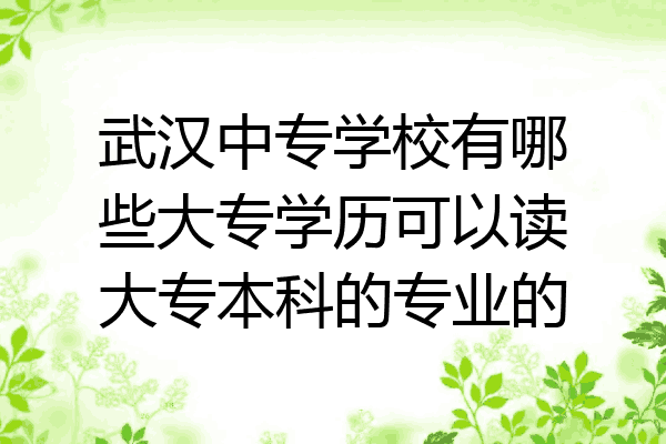 武汉中专学校有哪些大专学历可以读大专本科的专业的