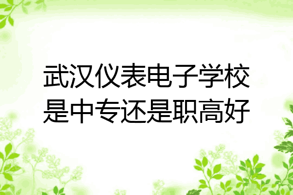 武汉仪表电子学校是中专还是职高好