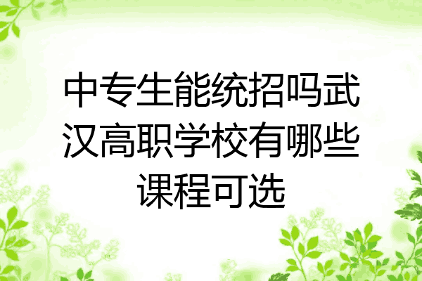 中专生能统招吗武汉高职学校有哪些课程可选