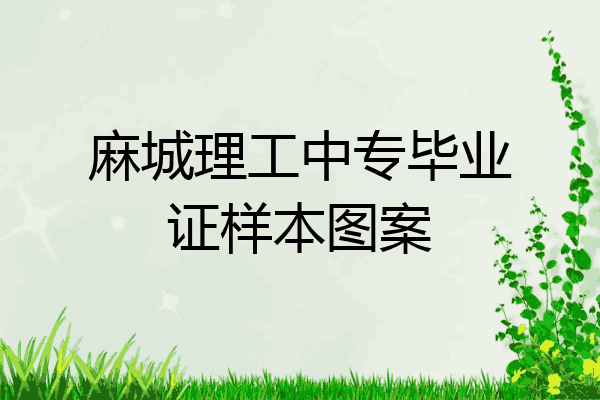 麻城理工中专毕业证样本图案