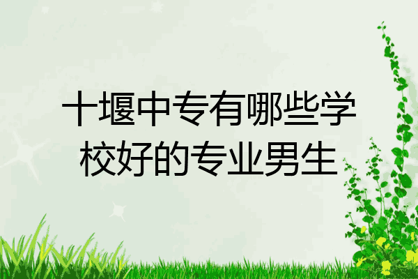 十堰中专有哪些学校好的专业男生