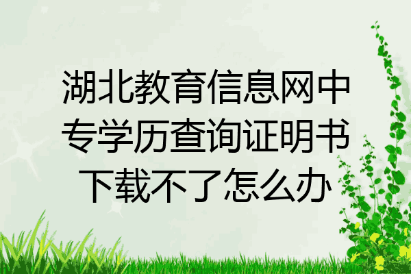 湖北教育信息网中专学历查询证明书下载不了怎么办