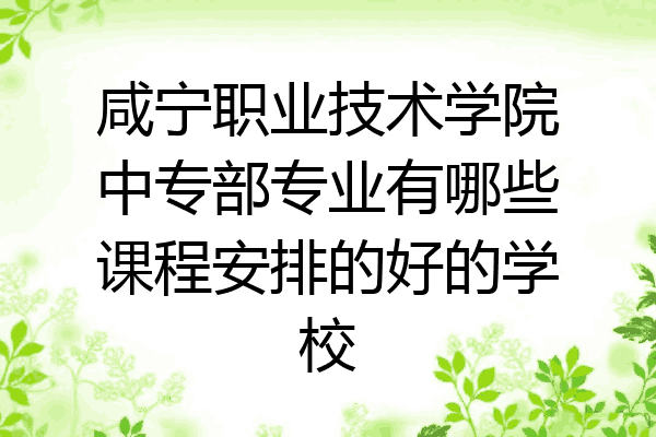 咸宁职业技术学院中专部专业有哪些课程安排的好的学校