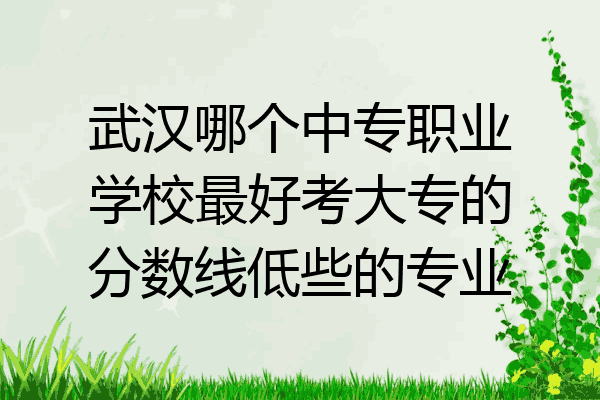 武汉哪个中专职业学校最好考大专的分数线低些的专业