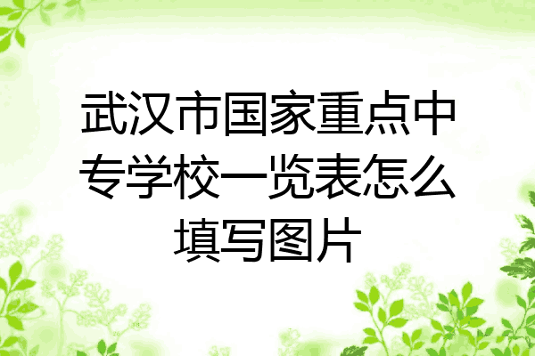 武汉市国家重点中专学校一览表怎么填写图片