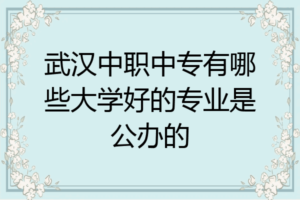 武汉中职中专有哪些大学好的专业是公办的