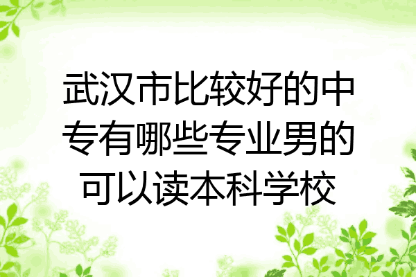 武汉市比较好的中专有哪些专业男的可以读本科学校