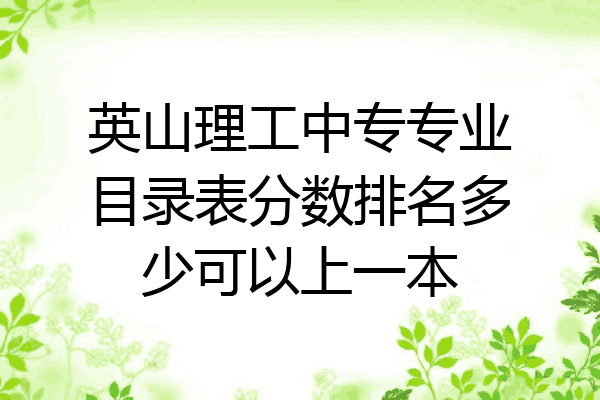 英山理工中专专业目录表分数排名多少可以上一本