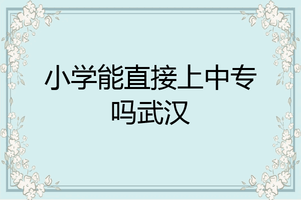 小学能直接上中专吗武汉