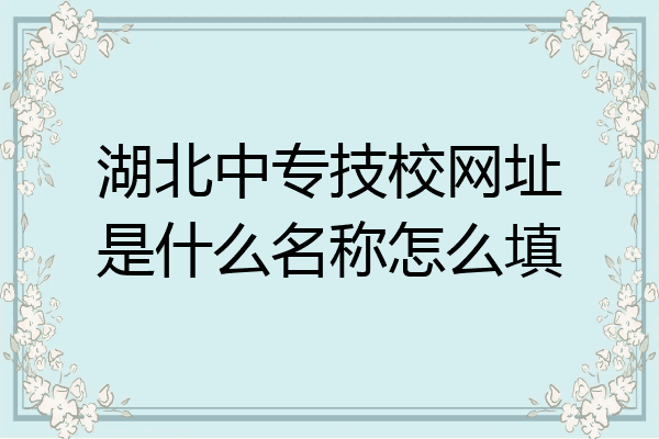 湖北中专技校网址是什么名称怎么填