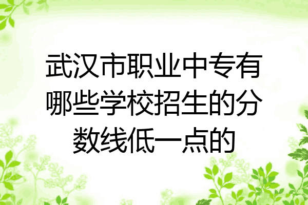 武汉市职业中专有哪些学校招生的分数线低一点的
