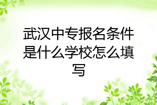 武汉中专报名条件是什么学校怎么填写