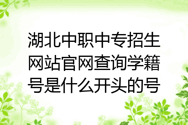 湖北中职中专招生网站官网查询学籍号是什么开头的号