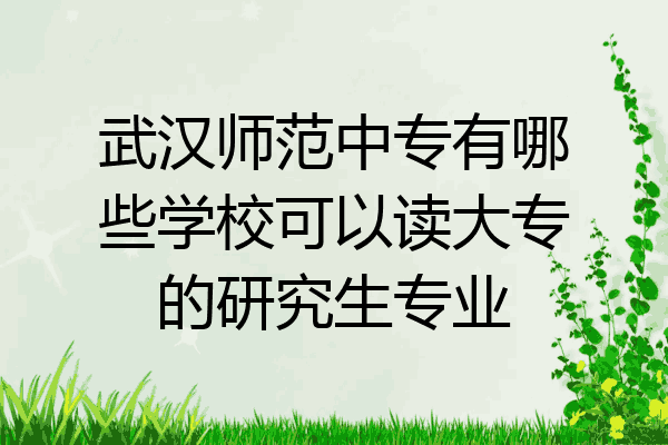 武汉师范中专有哪些学校可以读大专的研究生专业